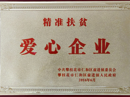 2016-精準(zhǔn)扶貧愛心企業(yè)